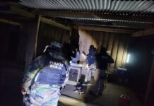 Golpe al abigeato en Orán: secuestran más de 370 kilos de carne y un arma en ocho allanamientos