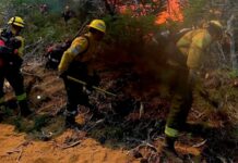 Cafayate enfrenta una grave emergencia ambiental: el fuego ya devastó cerca de 200 hectáreas