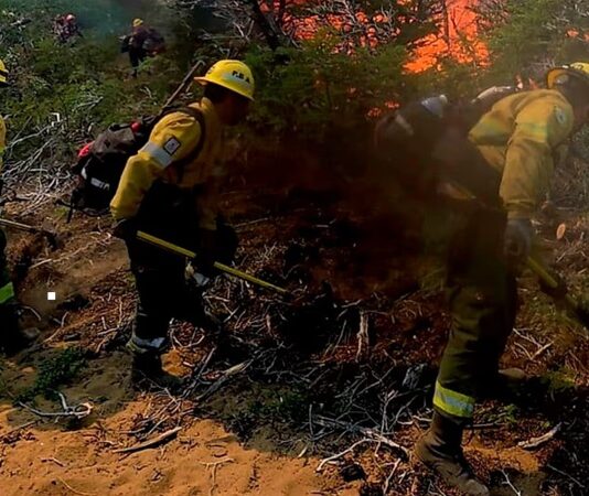 Cafayate enfrenta una grave emergencia ambiental: el fuego ya devastó cerca de 200 hectáreas