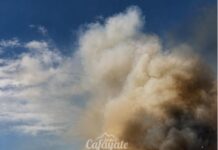 Preocupación en Cafayate: el viento reactivó el incendio y obligó a cortar la Ruta Nacional 68