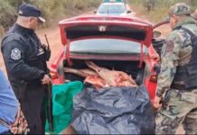 La Policía secuestró 140 kilos de carne transportada sin medidas sanitarias en Tartagal