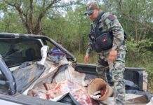 En Tartagal secuestran 180 kilos de carne transportados en la caja de una camioneta