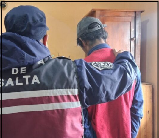 Buscan al propietario: lo detuvieron luego de afanarse un TV