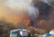 Tras una intensa batalla contra las llamas, lograron contener el incendio que afectó a Cafayate