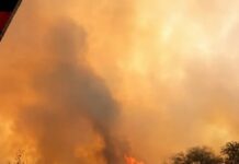 Preocupación en Cafayate: un incendio forestal amenaza amplias áreas de bosque nativo en Pueblo Nuevo