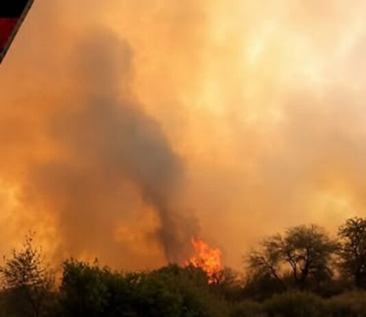 Detienen a un hombre por la investigación de los incendios registrados en Cafayate