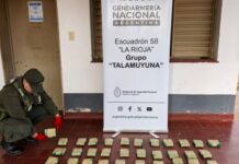 En La Rioja decomisaron mercadería de contrabando y hojas de coca que salieron en colectivo de Orán