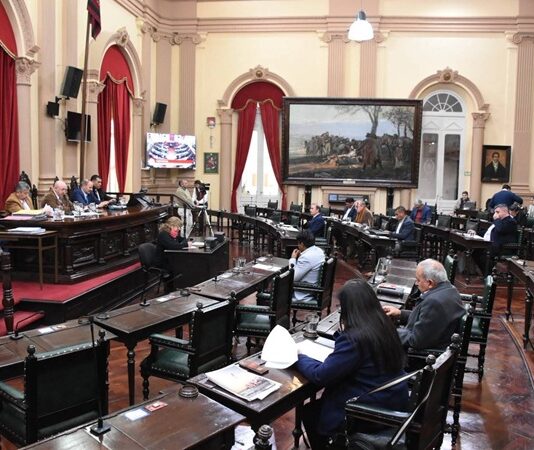 El Senado redefinió cómo se financiarán los cargos en organismos de control y derechos humanos