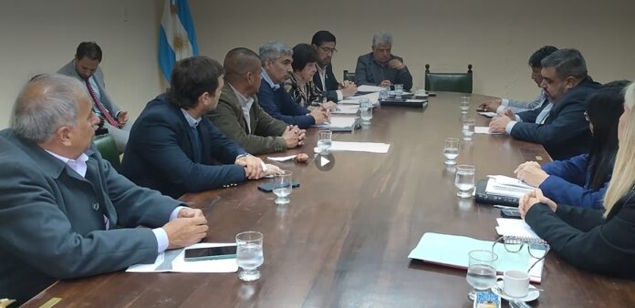 senado proyecto vicuña