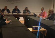 El Senado escuchó la postura de EDESA en el inicio del análisis del proyecto de Ley para evitar cortes de servicios por mora