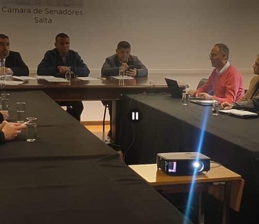 El Senado escuchó la postura de EDESA en el inicio del análisis del proyecto de Ley para evitar cortes de servicios por mora