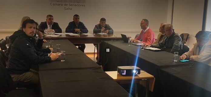 senado y edesa