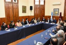 Senadores impulsan programas de formación para que más salteños accedan a empleos en la minería