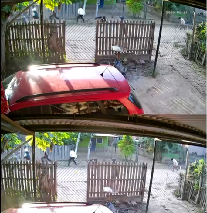 un muerto en embarcacion