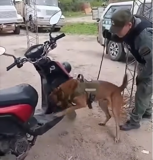 10 kilos de cocaina en la moto