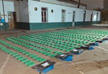 En Salta dictan la prisión preventiva de 2 personas detenidas por transportar 446 kilos de cocaína en un camión