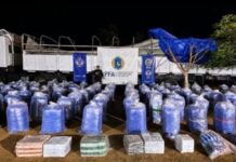 La Policía Federal secuestró más de 6.000 kilos de hojas de coca en Jujuy