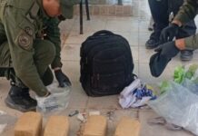 Frustran dos maniobras de narcotráfico en Orán: tres mujeres detenidas y un menor involucrado con más de 17 kilos de droga
