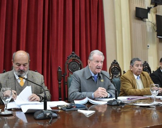 El Senado de Salta dio media sanción a la ley que prohíbe celulares en las cárceles