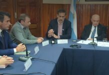 El Senado avanza en la ley de aprovechamiento sustentable de la fibra de vicuña en Salta
