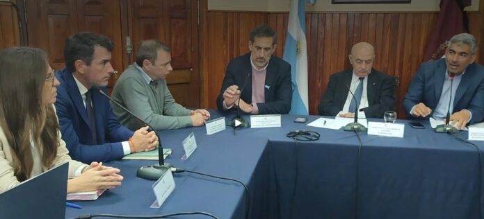 Senado y vicuña