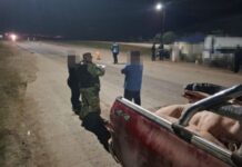 Orán: secuestran 400 kilos de carne porcina transportada sin control sanitario y sancionan al conductor