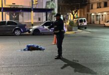 Atropelló a una paseadora sobre la senda peatonal en la Sarmiento, mató a su perra y huyó: fue detenido horas después
