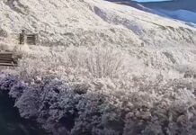 La ola polar cubrió de nieve distintos paisajes de Salta y piden extremar los cuidados al circular