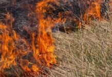 Investigan la muerte de un hombre que combatía un incendio de pastizales en Nazareno