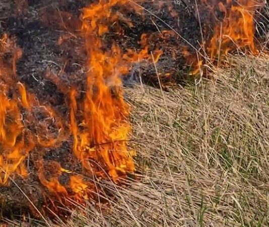 Investigan la muerte de un hombre que combatía un incendio forestal en Nazareno