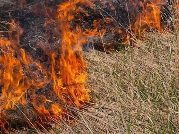 incendio de pastizales