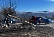 Intenso operativo para combatir un incendio en San Luis: el municipio mantiene equipos desplegados y monitorea la zona