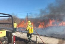 Incendios en Salta: la situación es crítica por el viento Zonda y el riesgo extremo