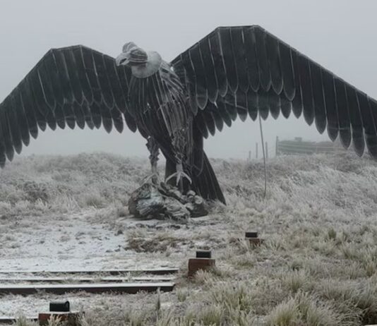 Alertas por temperaturas extremas frías en todo el país