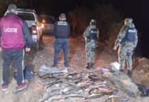 Anta: secuestran más de 48 peces y dos redes en un operativo contra la pesca ilegal