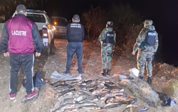 pescados y redes