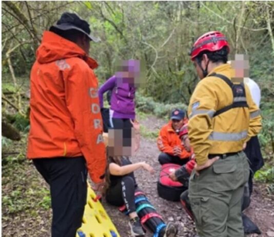 Rescatan a una mujer lesionada durante una caminata en el cerro Elefante de San Lorenzo