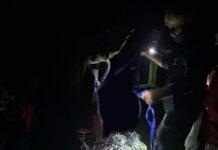 Rescatan con éxito a siete personas que se extraviaron en el cerro Termas de Rosario de la Frontera