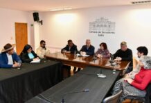Senadores recibieron al Círculo Médico para analizar reclamos sobre el funcionamiento del IPS