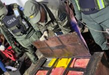Escáner X y canes antinarcóticos al descubierto: hallan otros 100 kilos de droga ocultos en un camión