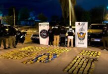 Sangre en el pasado, droga en el presente: La caída de la mujer que salió impune tras el asesinato de su pareja