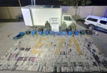 Viajaba de Cafayate a Tucumán con el camión “vacío”, pero el escáner reveló que llevaba 779 kilos de coca en un doble fondo