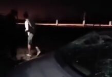 Siniestro vial en Ruta 36: un automóvil volcó, dejó heridos y el conductor se dio a la fuga