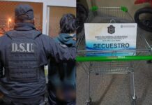 Pillado con las manos en el changuito: la insólita fuga nocturna que terminó en interceptación policial