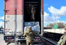 El aroma del delito: interceptan más de 100 kilos de hoja de coca camuflados en encomiendas que salieron de Salta