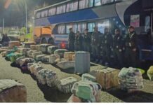 Gendarmería incautó en Córdoba mercadería ilegal por más de 470 millones de pesos que salió de Orán