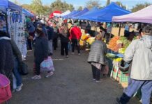 La economía familiar llega al sur: “El Mercado en tu Barrio” desembarca este jueves en Santa Ana