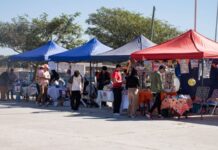 Rosario de la Frontera vivió una nueva Feria Barrial con emprendedores, música y actividades para toda la familia
