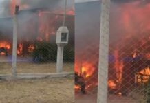 Tragedia entre cenizas y cables: las llamas consumieron una casa y se cobraron la vida de cinco mascotas en Cerrillos