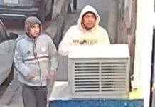 El filo del miedo al amanecer: roban a mano armada a una joven y la impunidad azota la avenida Entre Ríos